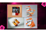design a professional flyer or brochure